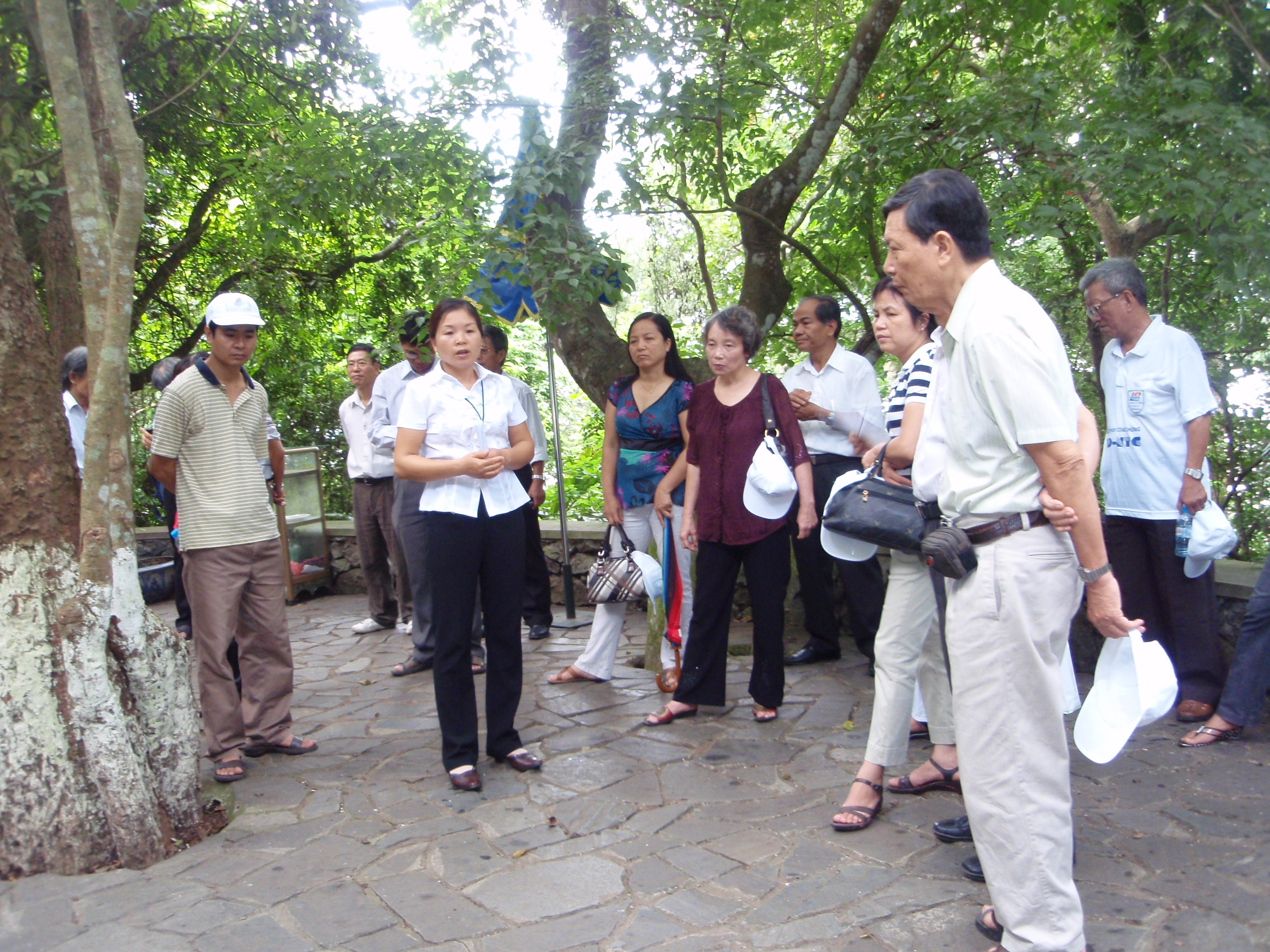 le tuyen the|dich thuat